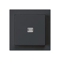 UP-Leuchttaster kallysto ARK schwarz