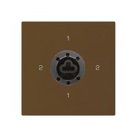 Intérieur interrupteur à clé kallysto 3/1L brun p.serrure de sûreté s.cylindre