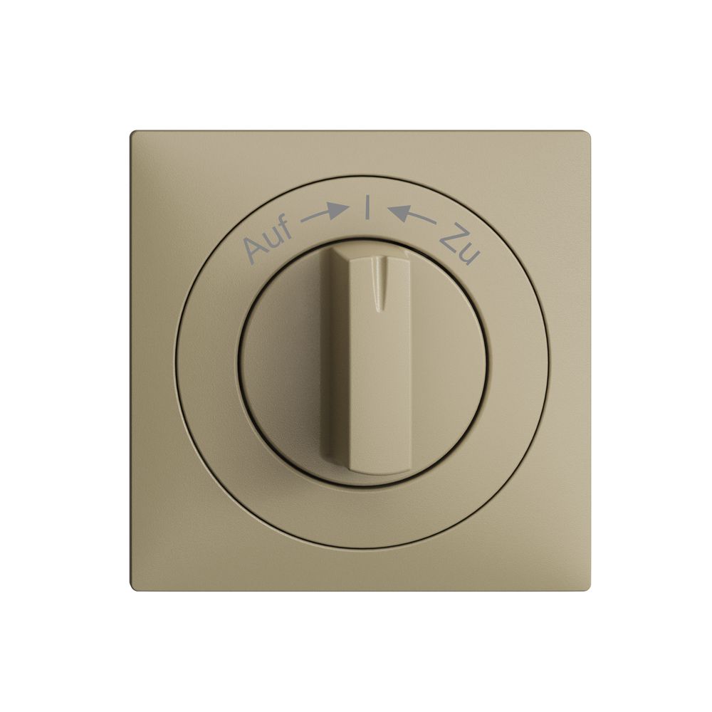 Frontset EDIZIOdue Auf->I<-Zu sand 60×60mm für Schwenktaster