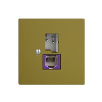 Dose T+T 6P/1×RJ45 DSL-Breitband EDIZIOdue olive