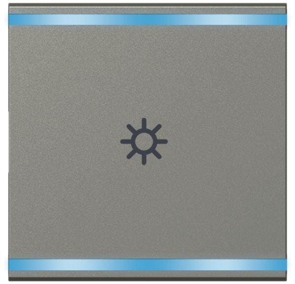 UP-Leuchtwippe Legrand magnesium, LICHT 2 Modul