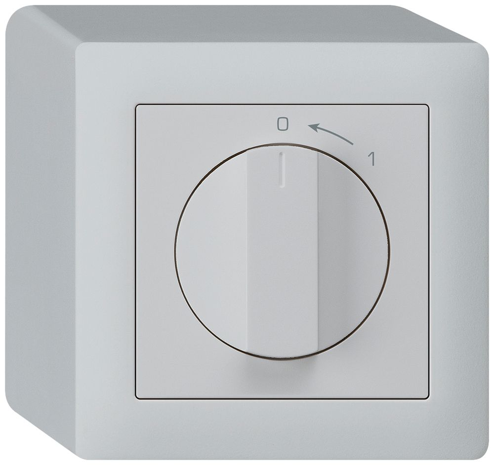 AP-Schwenktaster 0<-1/2L hellgrau kallysto mit Drehgriff