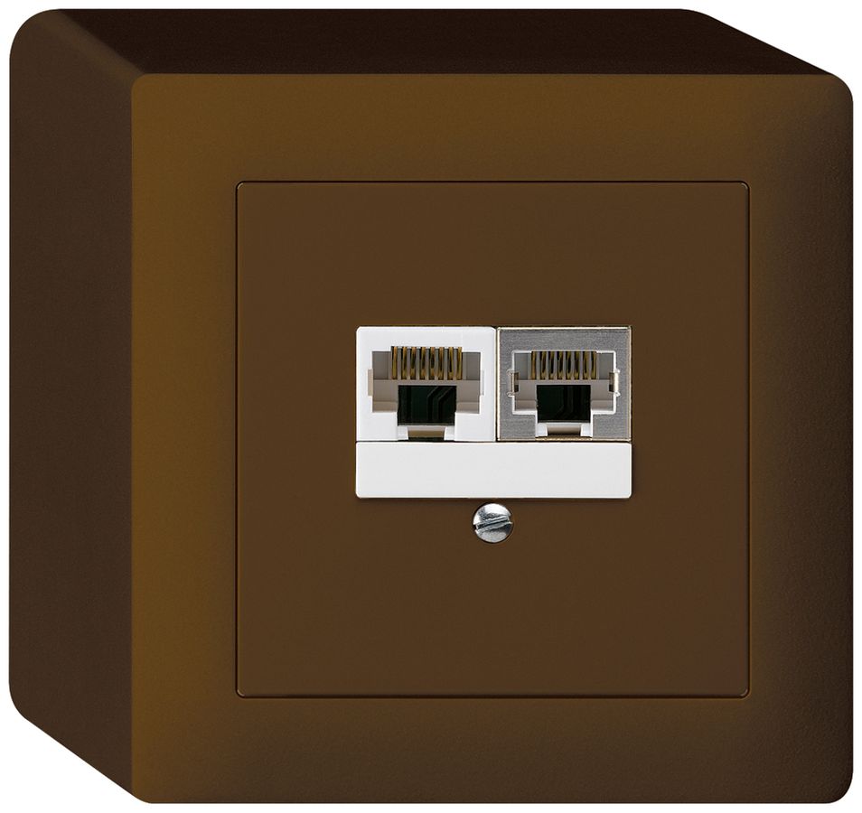 AP-Dose kallysto 2×RJ45s+u getrennt braun