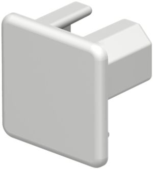 Plaque de fermeture Bettermann pour canal d'installation WDK gris clair 20×20mm