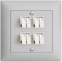 Presa INC audio FMI 4×grigio chiaro, morsetto per 4 altoparlante