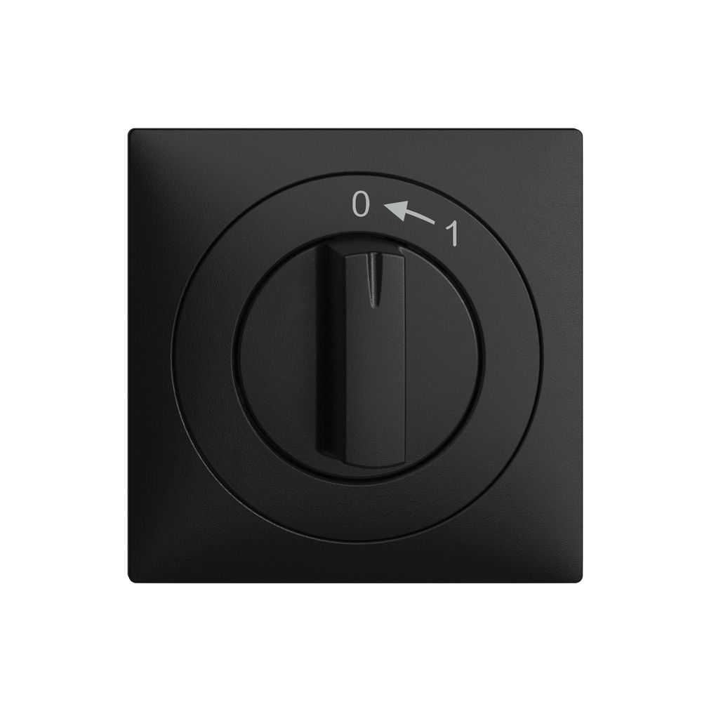 Frontset EDIZIOdue 0<-1 schwarz 60×60mm für Schwenktaster