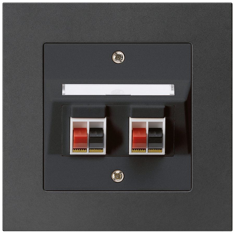 Prise ENC audio kallysto.pro 2× noir borne à étrier pour 2 haut-parleurs