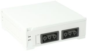 Boîtier AGRO, in: 3P H07V-U, out: 2×3P no, Wieland, gris