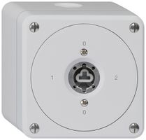 Interruttore a chiave AP robusto senza copertura senza cilindro 2/1P grigio