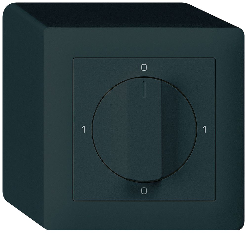 AP-Drehschalter kallysto 2/1L schwarz 0-A-0-M mit Drehgriff