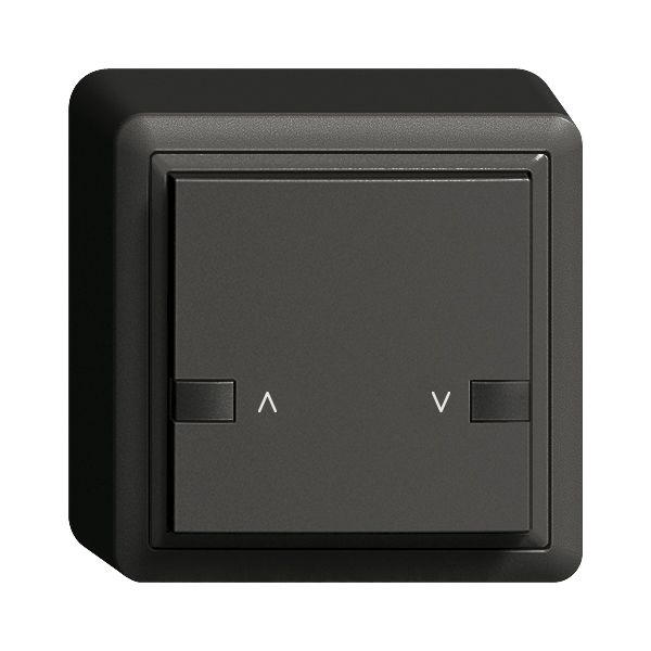 AP-Taster ZEP 1K/1T Motor Hauptstelle EDIZIOdue schwarz