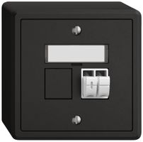 Presa audio AP EDIZIO.liv SNAPFIX® 1× ne