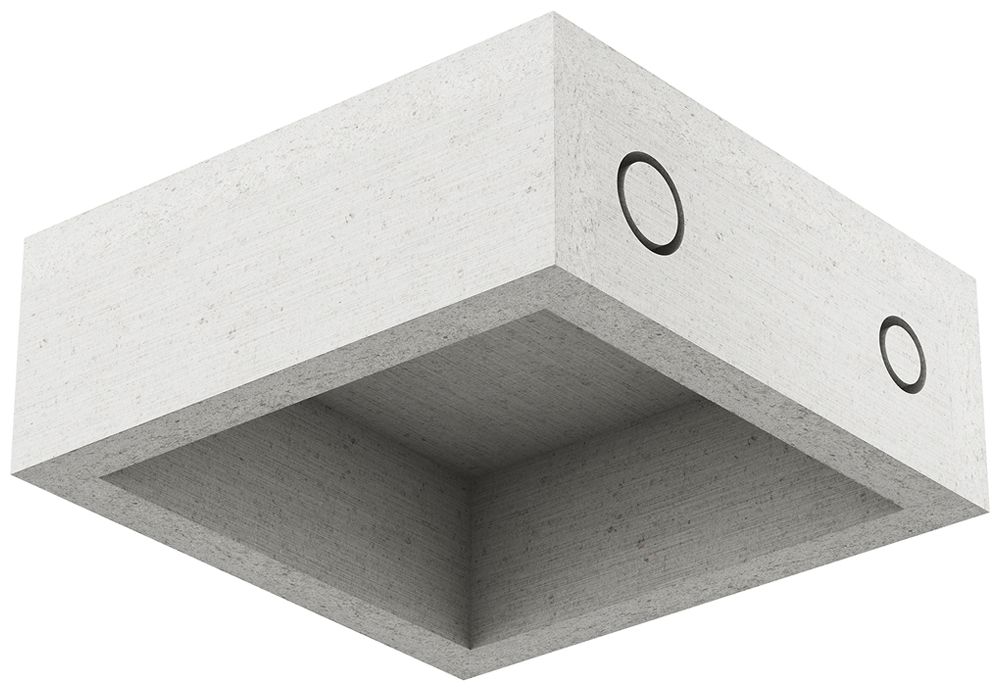 EB-Gehäuse AGRO ThermoX Lite 170×170×65mm