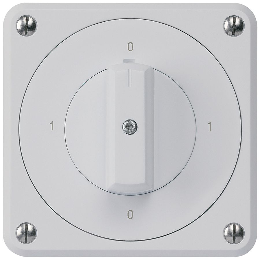 UP-Drehschalter robusto IP55 Schema 0/2P grau