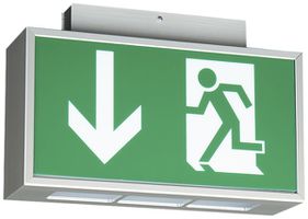 LED-Not-/Hinweisleuchte CALR LED PE+T-D, mit Autotest, 1h, Decke