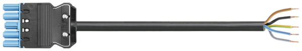 Cavo di allacciamento Wieland GST18i5 5×1.5mm² 250V+n.SELV 16A 3m blu presa, Cca