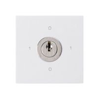 Einsatz zu Schlüsselschalter kallysto 0/2L weiss mit Schloss Kaba 8