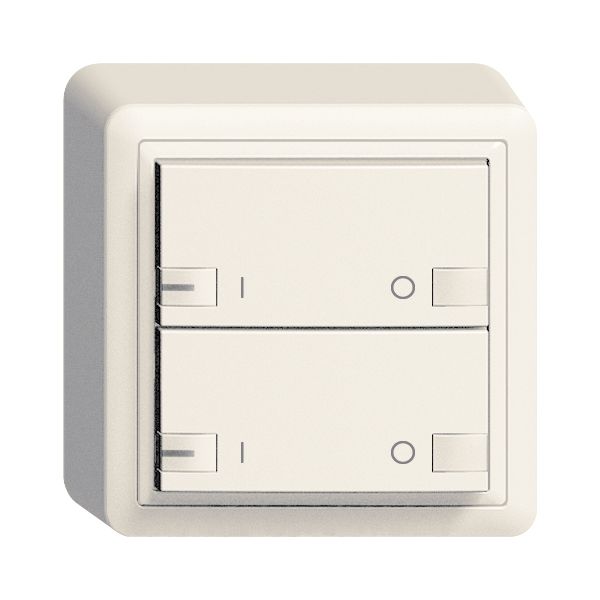 AP-Taster ZEP 2K/2T ON-OFF mit LED EDIZIOdue weiss