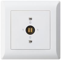 Interruttore a chiave d'innesto INC kallysto.line 0/1L bianco