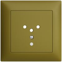 UP-Frontset EDIZIOdue T12 olive 88×88mm mit Linse für Steckdose