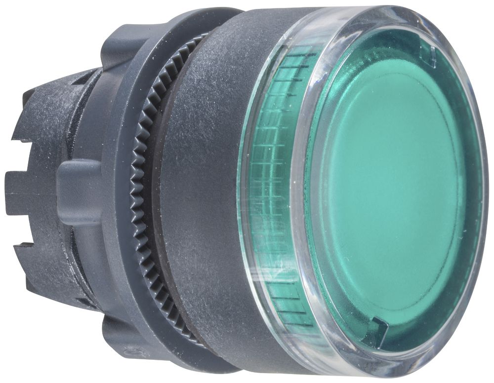 Antriebskopf Schneider Electric für Leuchttaster grün