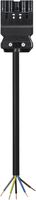 Anschlussleitung Wieland GST18i5 5×1.5mm² 250/400V 16A 2m schwarz Stecker Cca