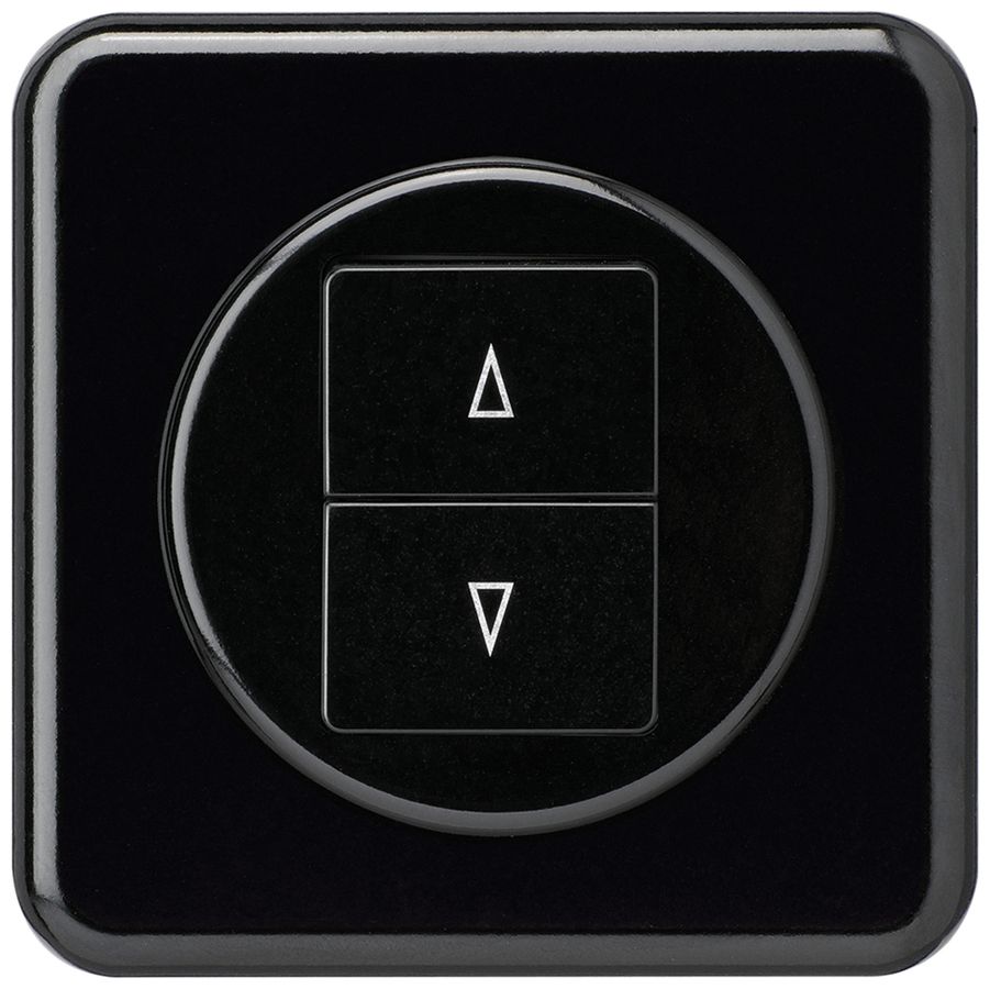 UP-Storentaster basico schwarz mit 2 Funktionstasten Steckklemme