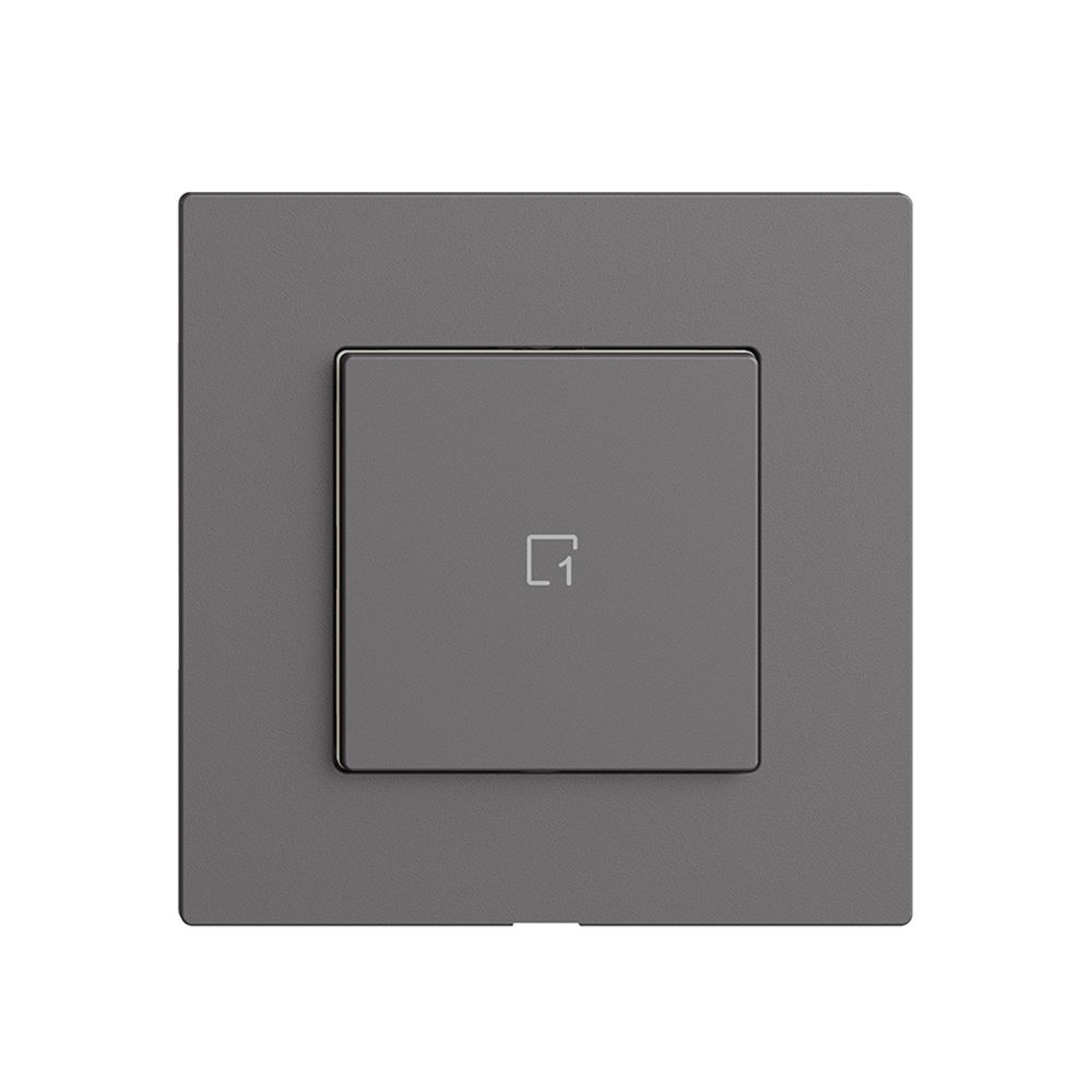 Comando per pulsante scena 1 scena/1T Edue Wiser grigio scuro