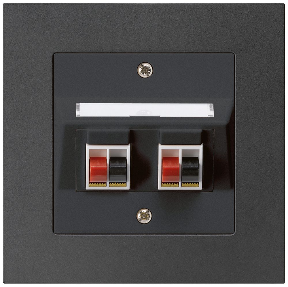 Prise ENC audio kallysto.pro 2× noir borne à étrier pour 2 haut-parleurs