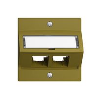 Montageset S-One EDIZIOdue F für 2×RJ45 schräg, olive