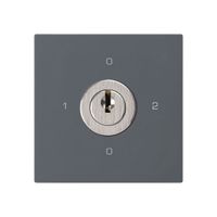 Einsatz zu Schlüsselschalter kallysto 2/1L anthrazit mit Schloss Kaba 8