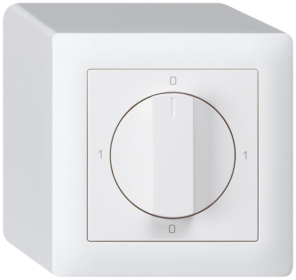 Interrupteur rotatif AP kallysto 0/3L blanc avec manette