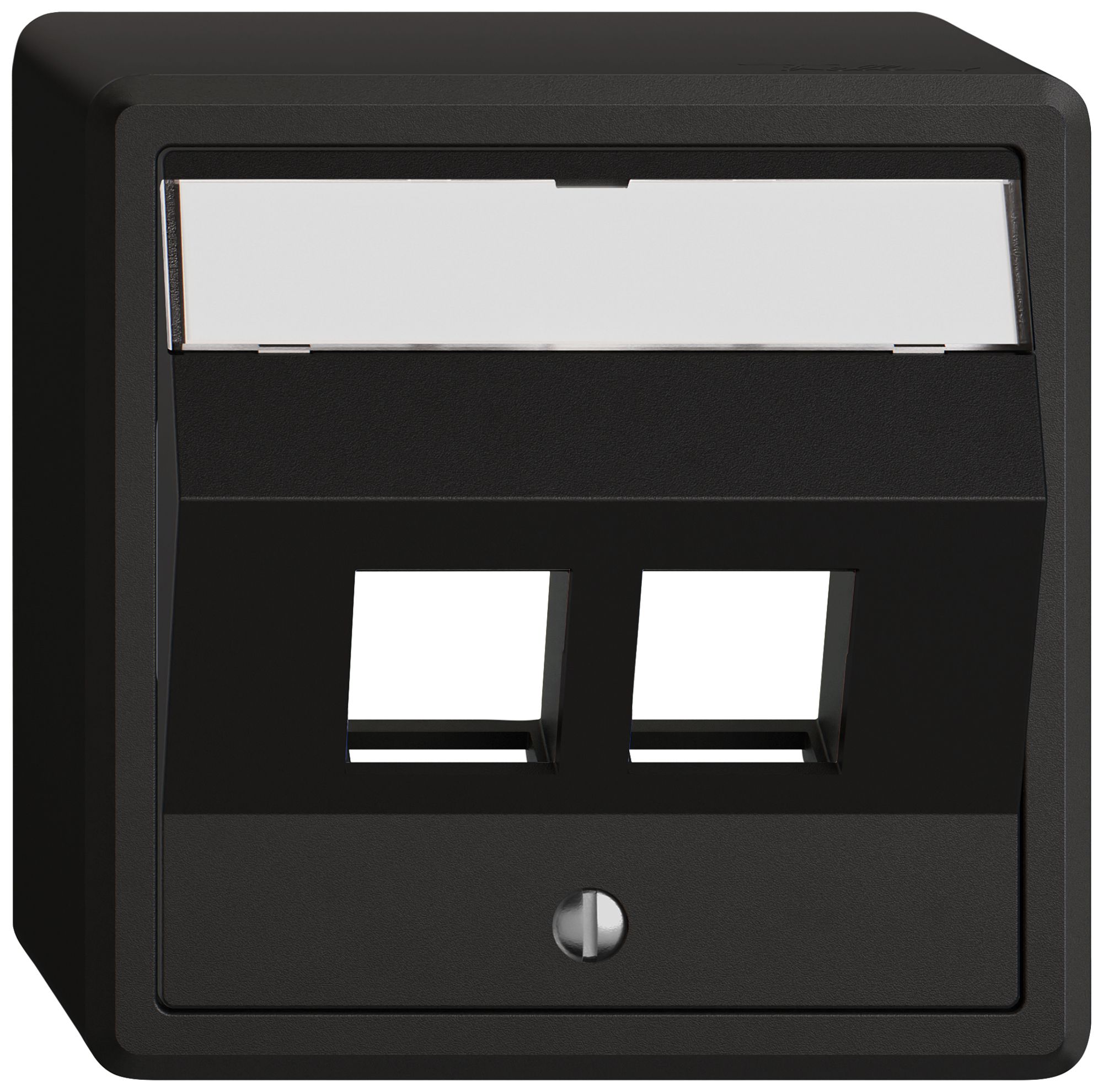 AP-Montageset EDIZIO.liv Keystone SNAPFIX® schräg 2× sz