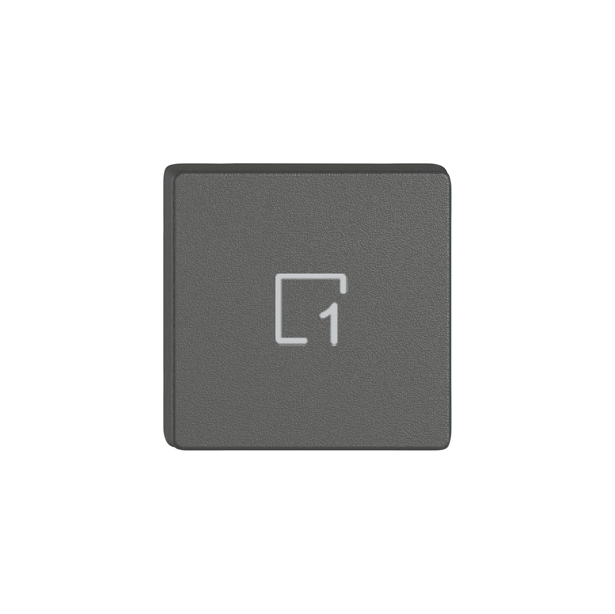 Taste 1/4 EDIZIO.liv Wiser mit SNAPFIX® mit Symbol Szene 1 dgu