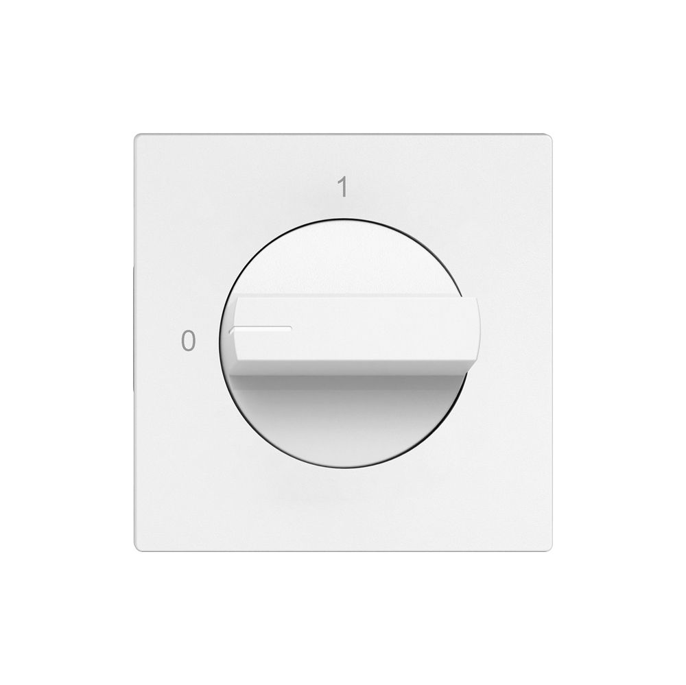 Drehschalter EDIZIO.liv 2P 0-1 T=40mm ws
