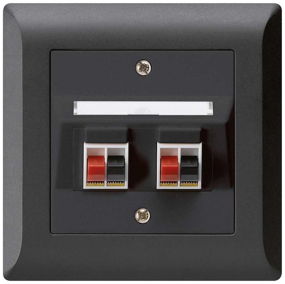 Prise ENC audio kallysto.line 2× noir borne à étrier pour 2 haut-parleurs