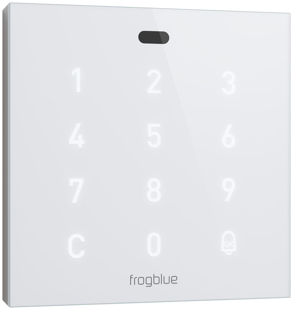 Contrôle d'accès RF ENC frogblue frogAccess, clavier/RFID, 230V, 2 entrées