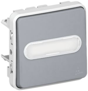 Leuchtwipptaster PLEXO Ö+S/1L grau