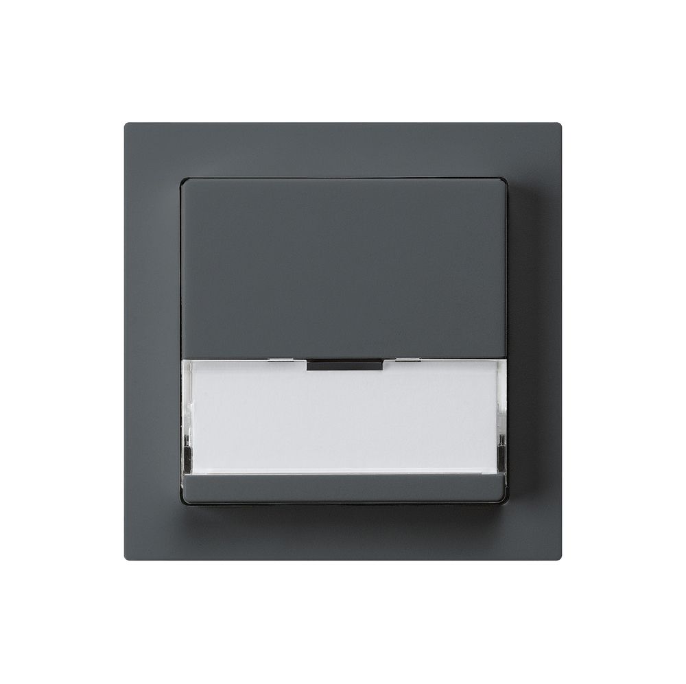 UP-Sonnerietaster kallysto anthrazit A/1L mit Namensschild 37×15mm