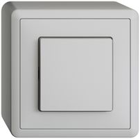 AP-Taster EDIZIOdue AR hellgrau