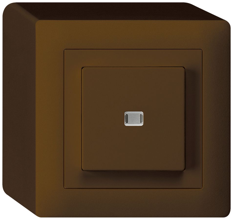 AP-Leuchtdruckschalter kallysto 6/1L braun