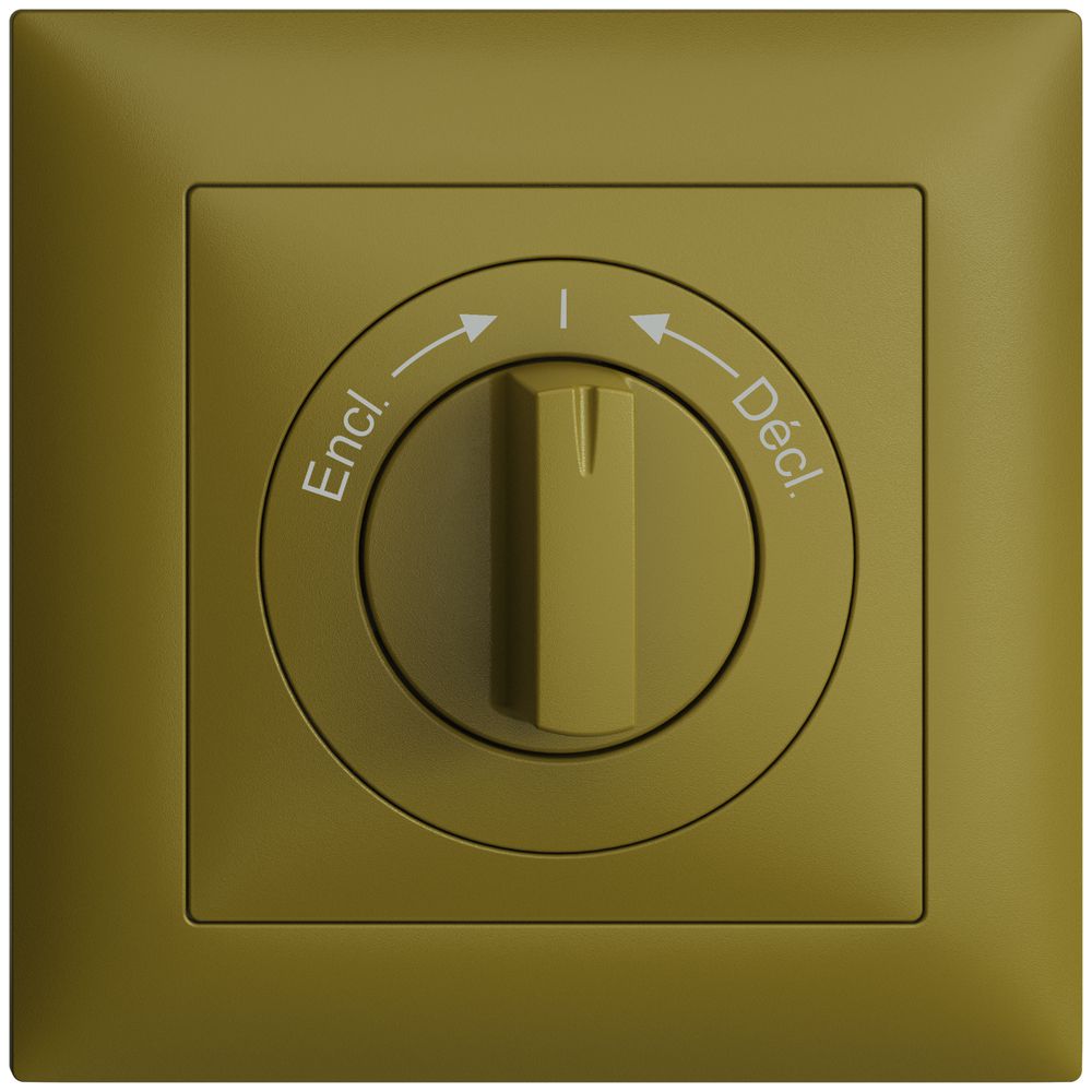 Frontset EDIZIOdue Encl.->I<-Décl. olive 88×88mm für Schwenktaster