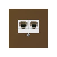 UP-Dose kallysto 2×RJ45u getrennt braun