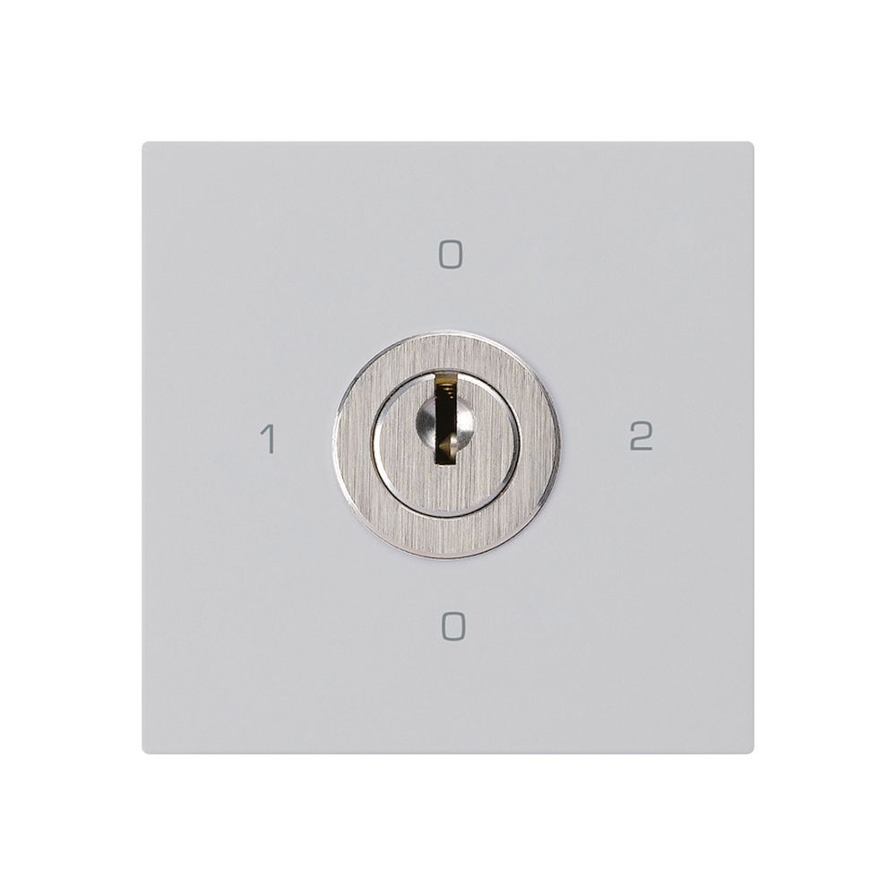 Intérieur interrupteur à clé kallysto 2/1L gris clair avec serrure Kaba 8