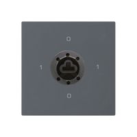 Einsatz zu Schlüsselschalter kallysto 0/2Lan f.Sicherheitsschloss ohne Zylinder