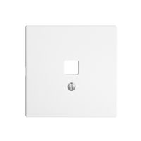 Frontset EDIZIOdue weiss 60×60mm für Datenschnittst.USB