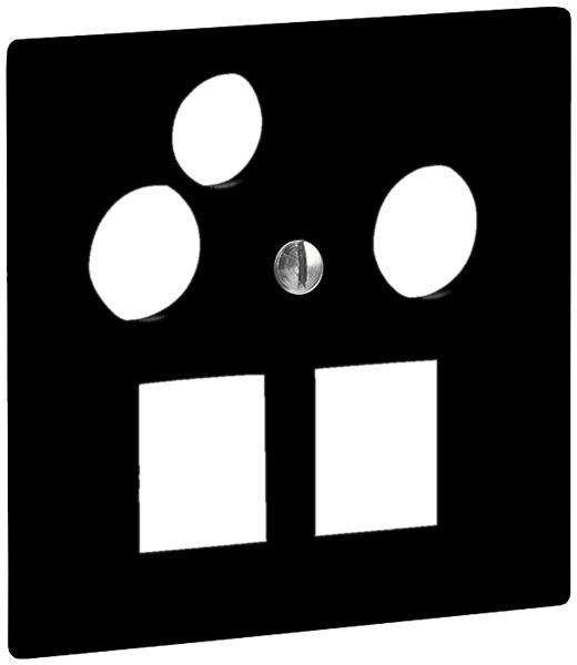 Frontplatte R&M MiniDat 2×RJ45 3×Koax 60×60mm schwarz