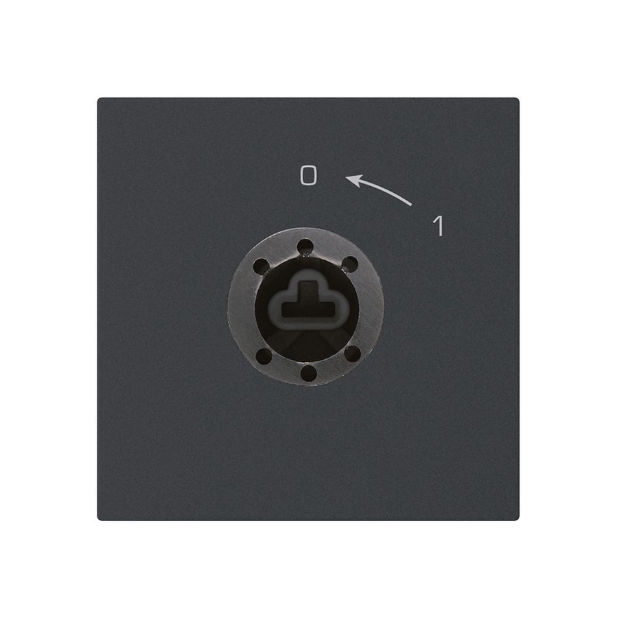 Contact pivotant 0<-1/1L noir kallysto pour serrure sans cylindre