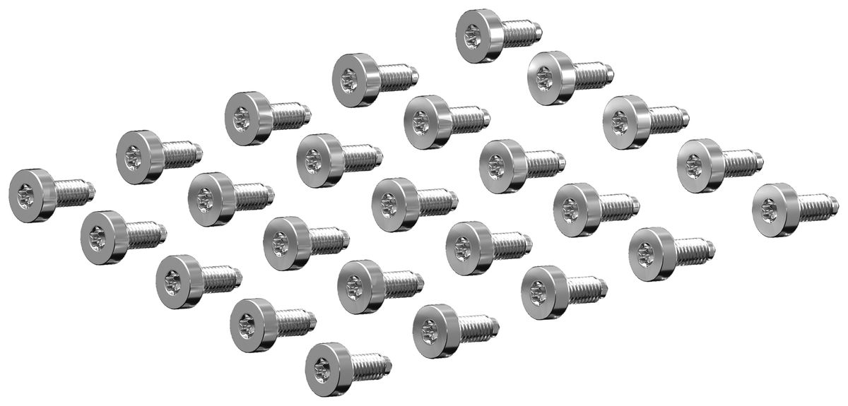 Vite Rittal VX 5050.698 16mm TX M6 testa circolare piatta