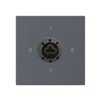 Intérieur interrupteur à clé kallysto 3/1L anthracite serrure sûreté s.cylindre